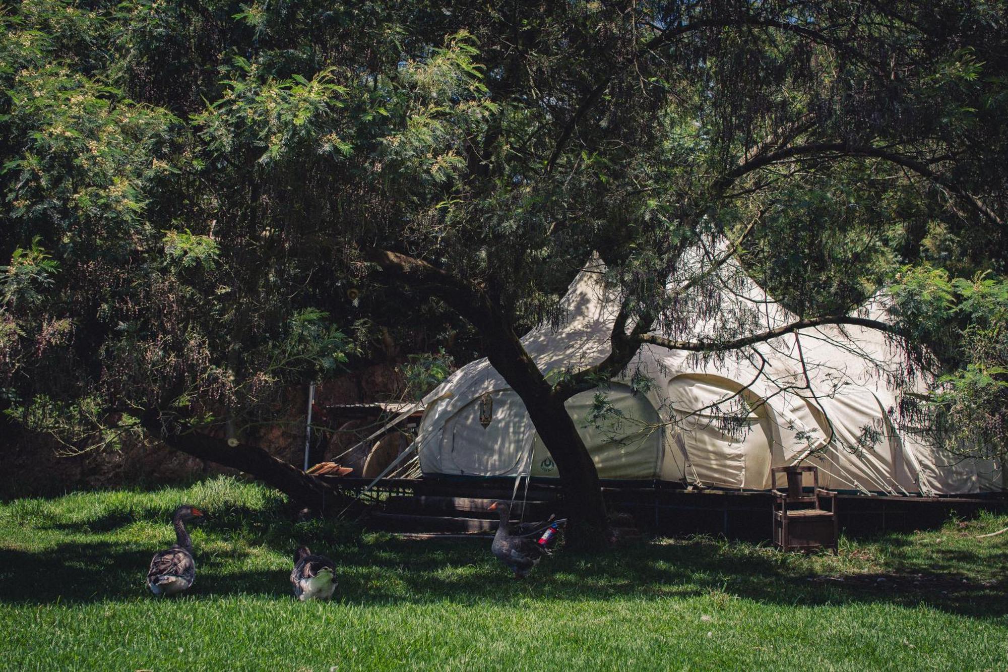 Arambha Ecovillage Farmstay Tabua  Eksteriør bilde